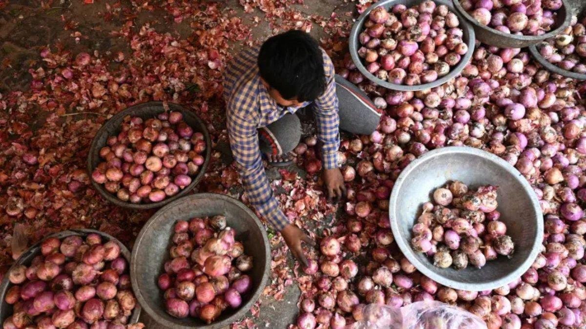 Onion market