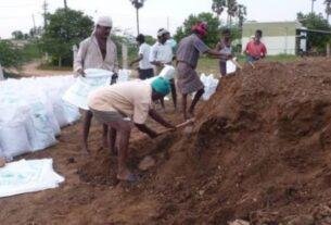 Cow Dung Rate