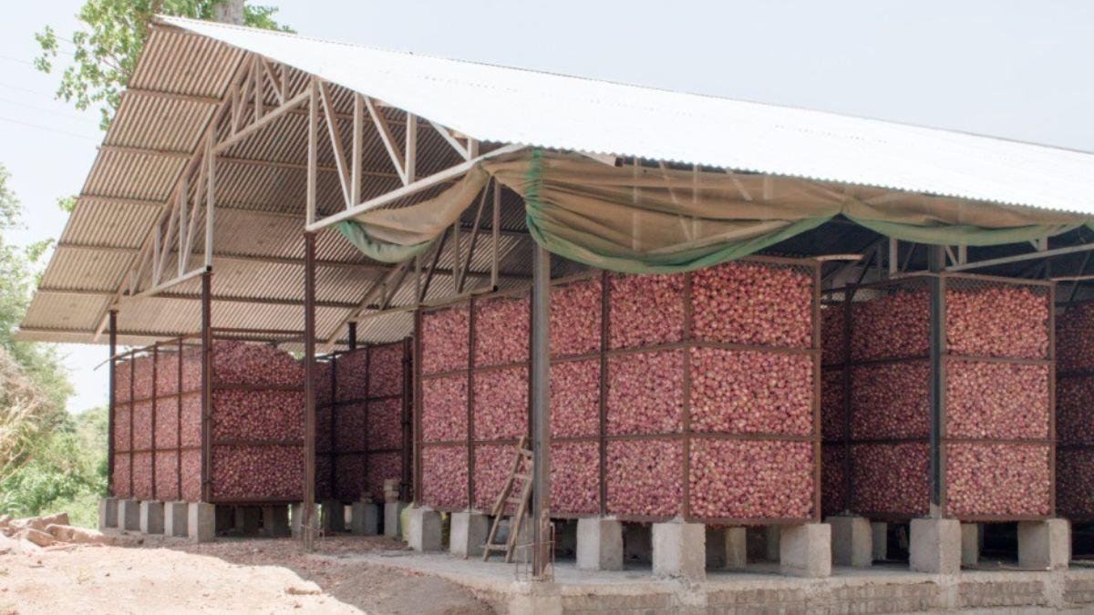 Onion Storage
