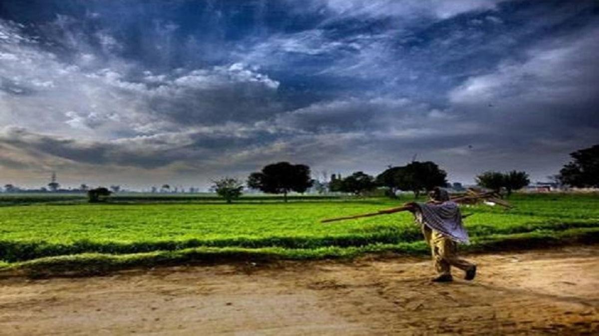 Monsoon News