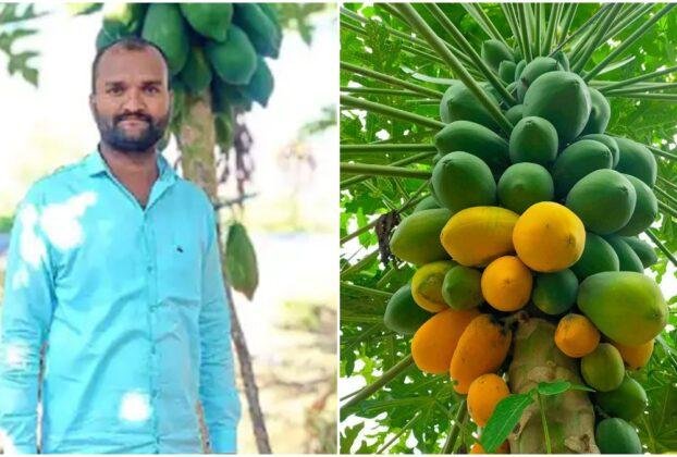 Farmer Success Story